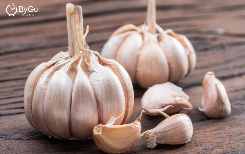 uống tỏi ngâm mật ong