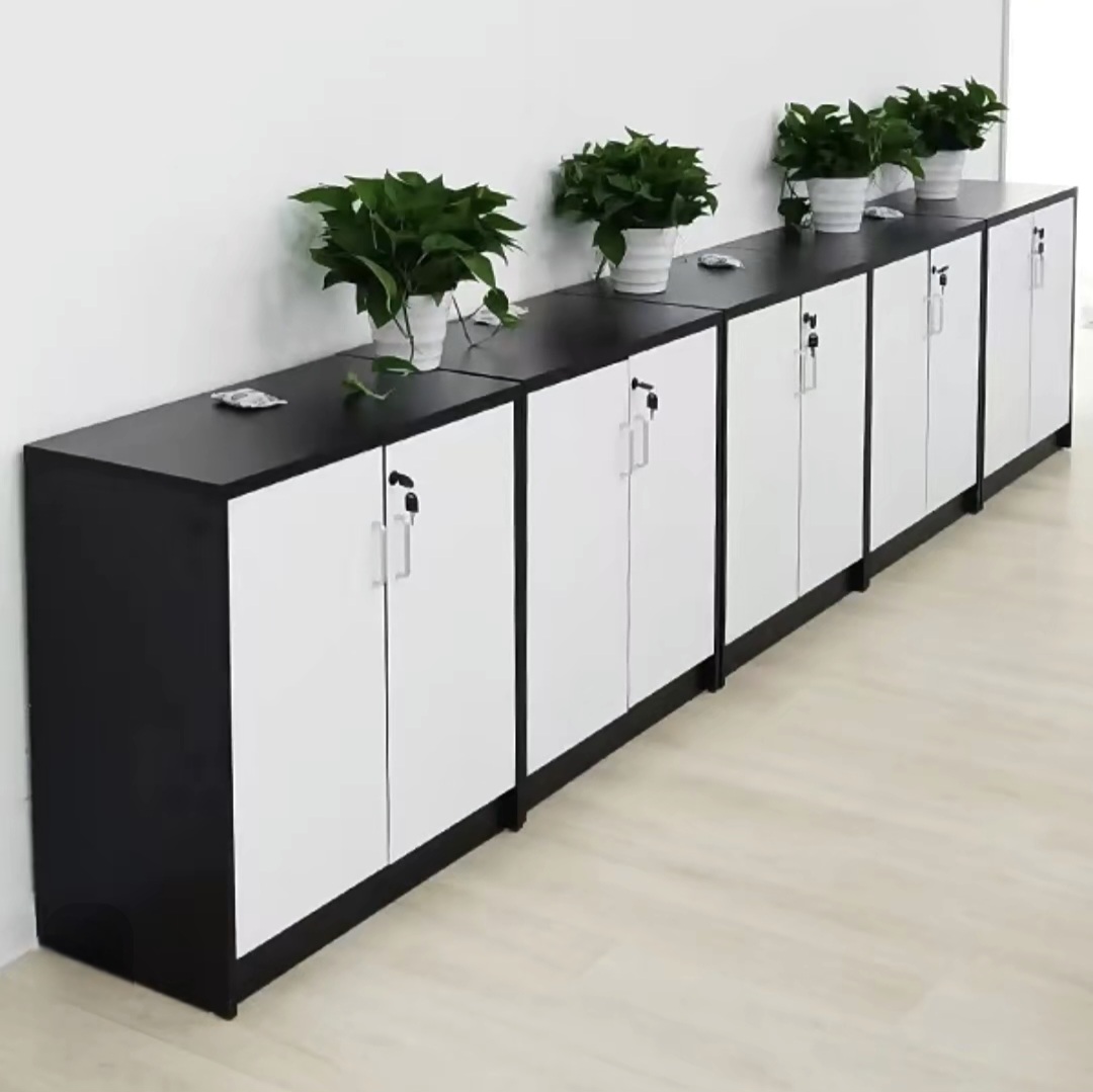 hình ảnh tủ hồ sơ thấp cho văn phòng chuyên nghiệp