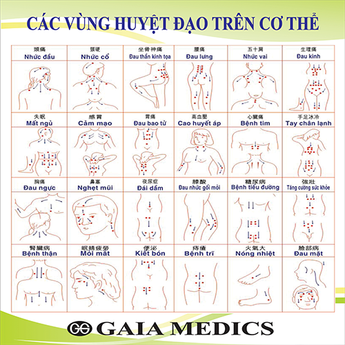 CÂY CHÂM CỨU TIO DOCTOR