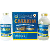 cl cataxim cặp 250ml