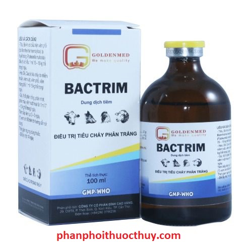 golden-bactrim-100ml