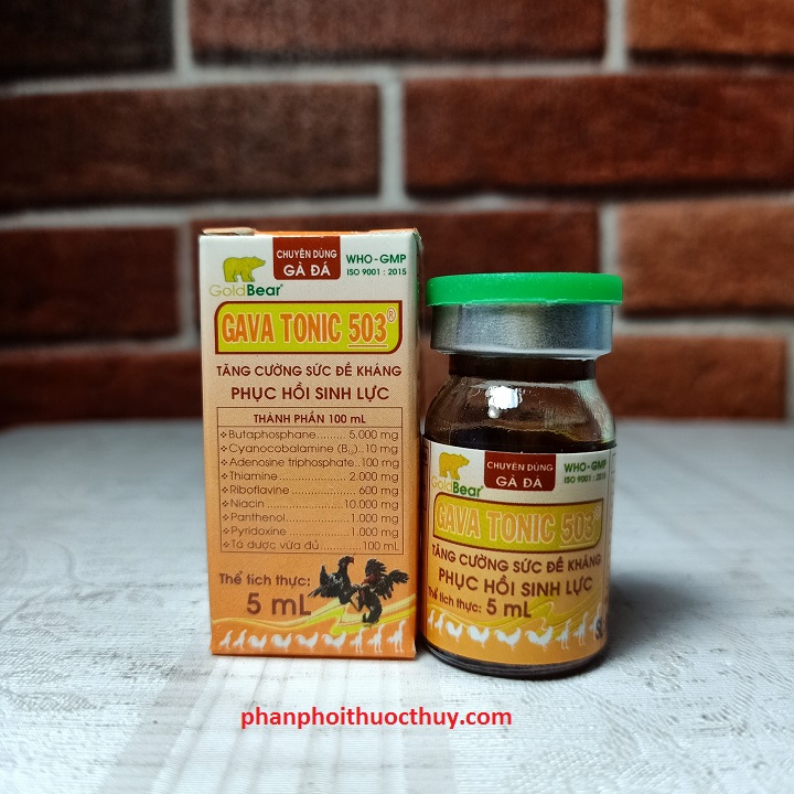 gv gava tonic 503 5ml