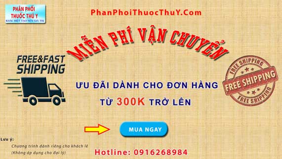 Miễn phí vận chuyển đơn hàng 300k