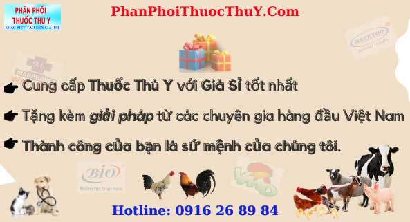 Chương trình Hot Deal tháng 6