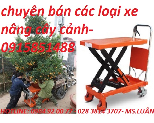 xe-nang-cay-canh-mua-o-dau