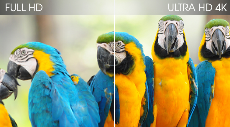 Độ phân giải UHD 4K Samsung Smart QLED Tivi 4K 43 inch QA43Q60T
