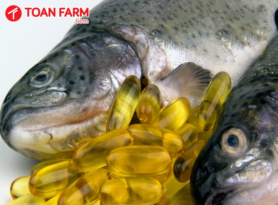 Thực phẩm sạch Toàn Farm