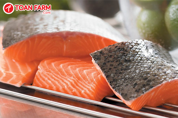 Địa chỉ nào chuyên cung cấp cá hồi Nauy giá tốt?