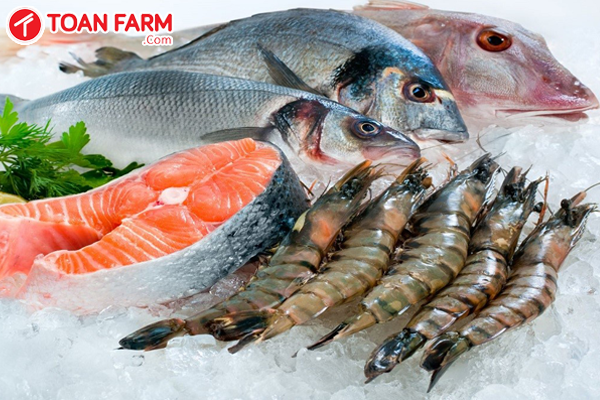 Hải sản phải luôn giữ độ tươi ngon