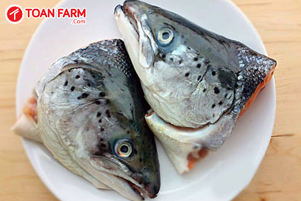 Cần tìm địa chỉ mua đầu cá hồi uy tín