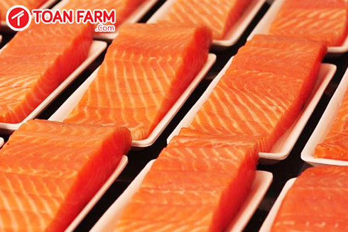 Cá hồi nhập khẩu từ Nauy