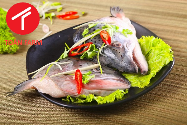 Đầu cá hồi nhập khẩu từ Nauy