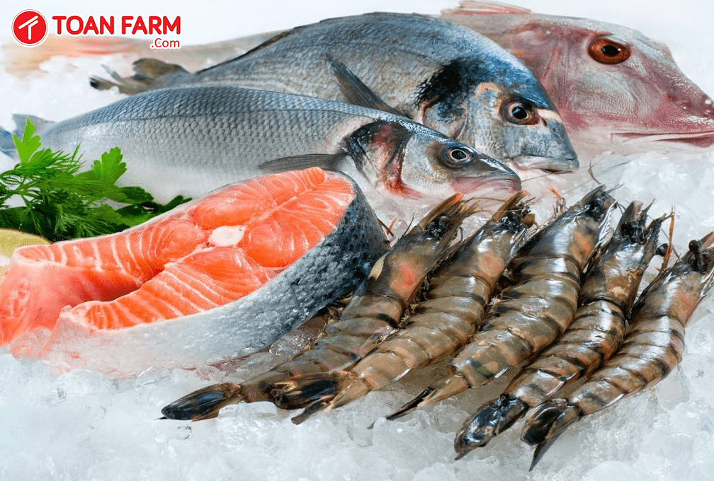 Hải sản tươi sống