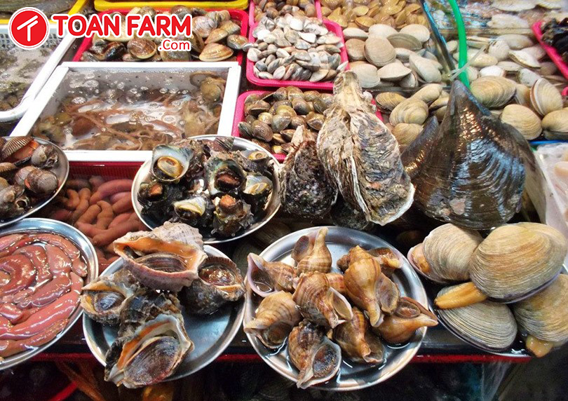 Hải sản ở chợ Hàn