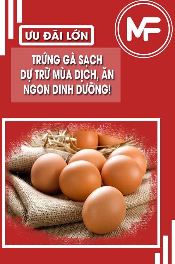 Toàn Farm cung cấp trứng gà giá rẻ bổ dưỡng chất lượng uy tín nhất