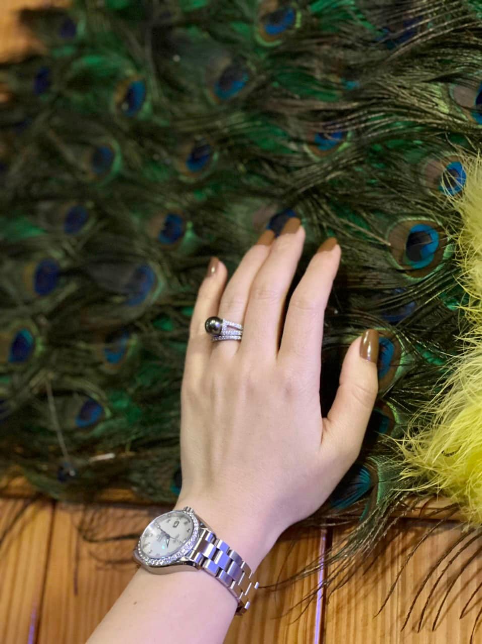 Sự kỳ diệu của ánh sáng và sắc lông công