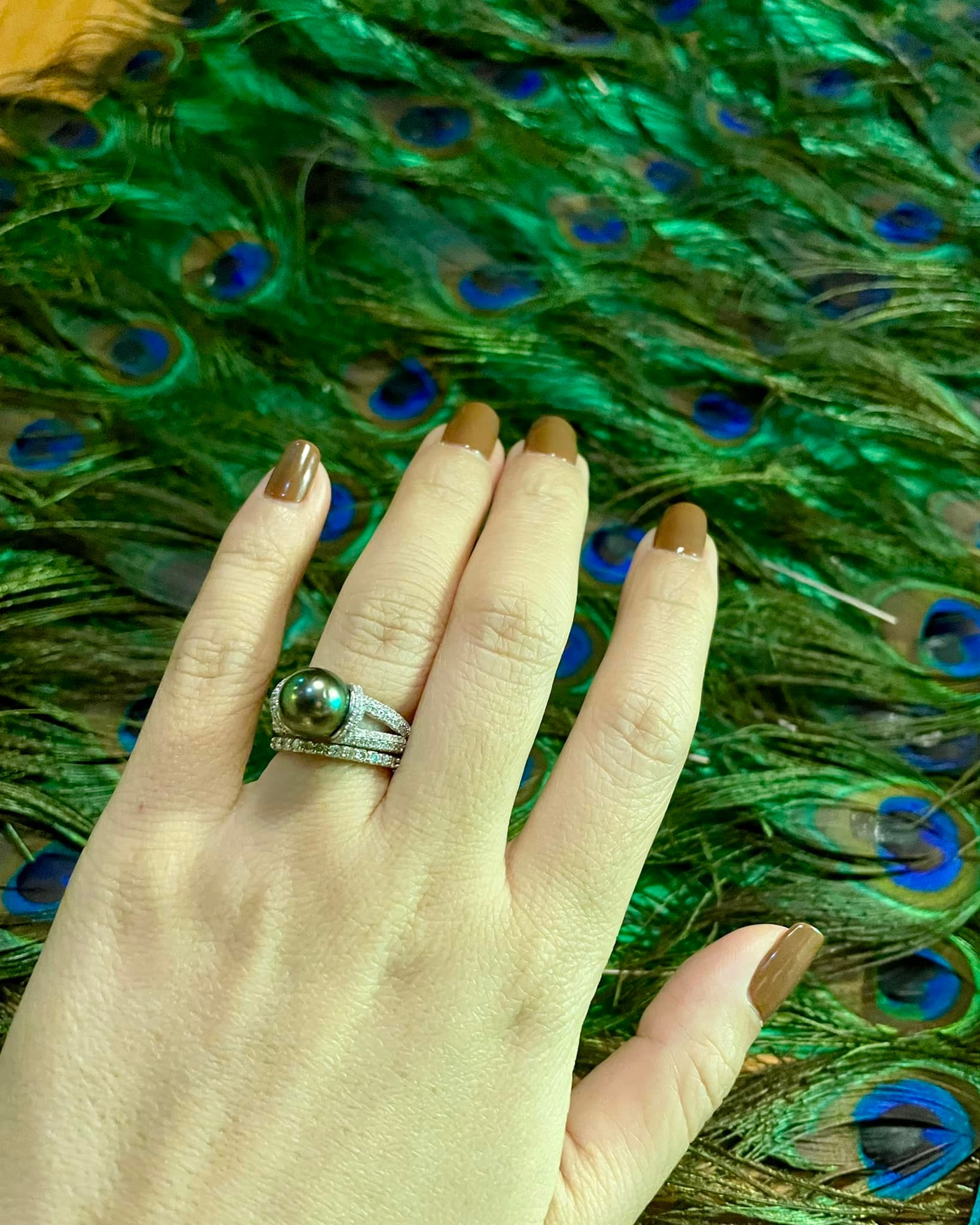 Sự kỳ diệu của ánh sáng và sắc lông công