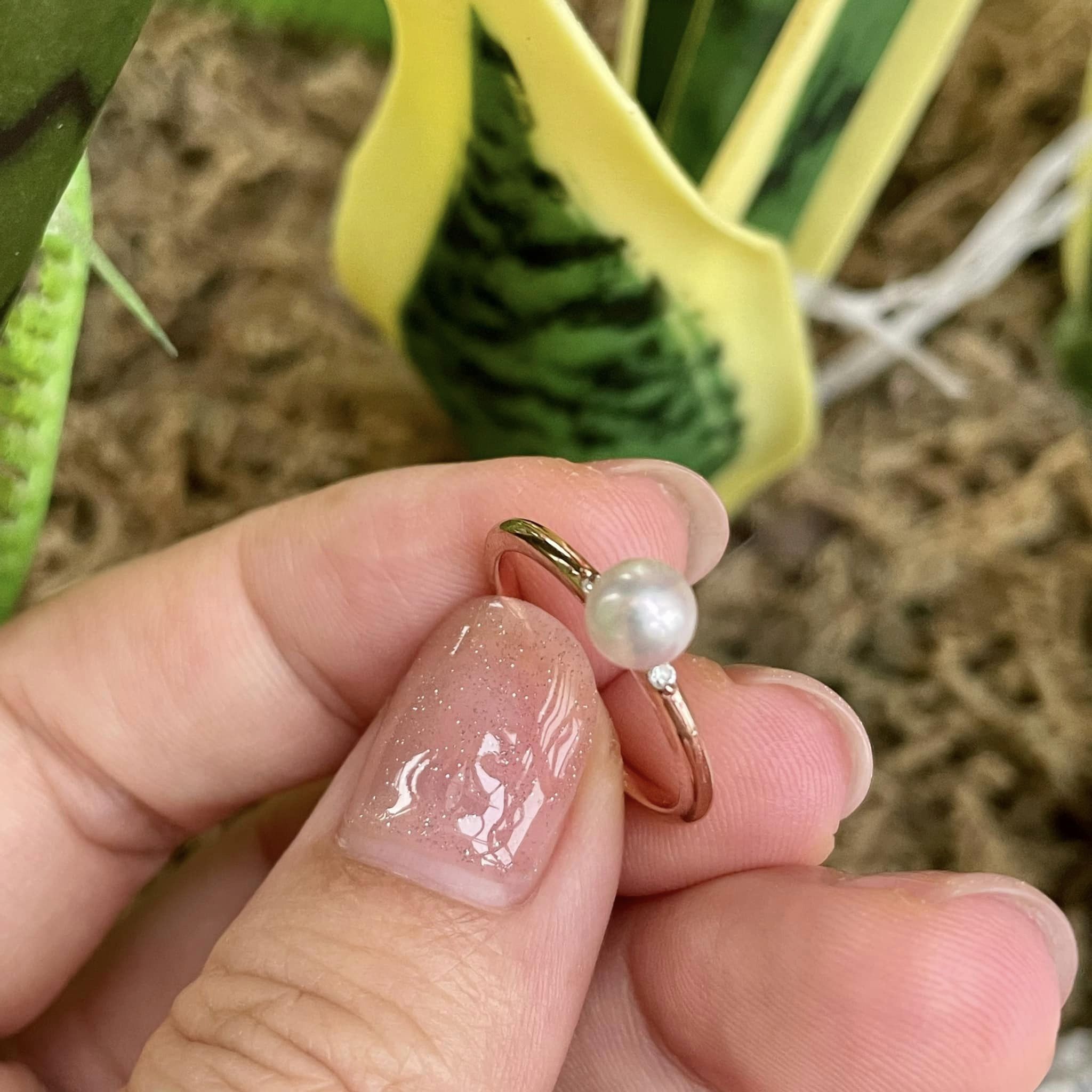 Một chiếc nhẫn vàng hồng thiết kế đơn giản gắn viên ngọc trai akoya 6mm