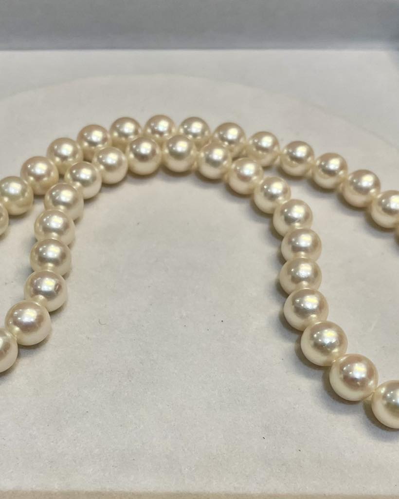 Ngọc trai là một loại đá trang sức đặc biệt, ko được khai thác từ lòng đất, mà được hình thành trong dòng nước.