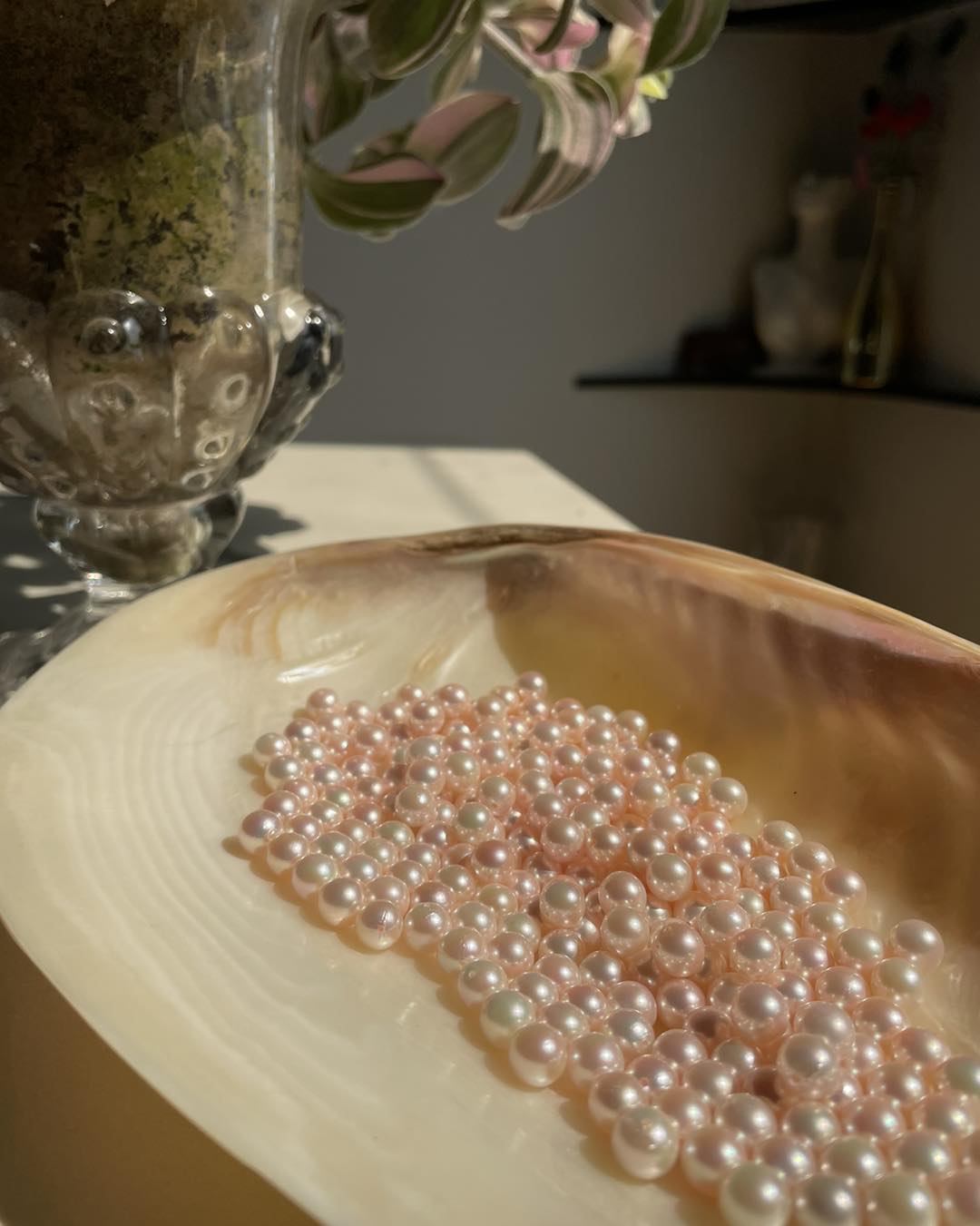 Vì Sao Ngọc Trai Được Gọi Là Báu Vật Từ Đại Dương?