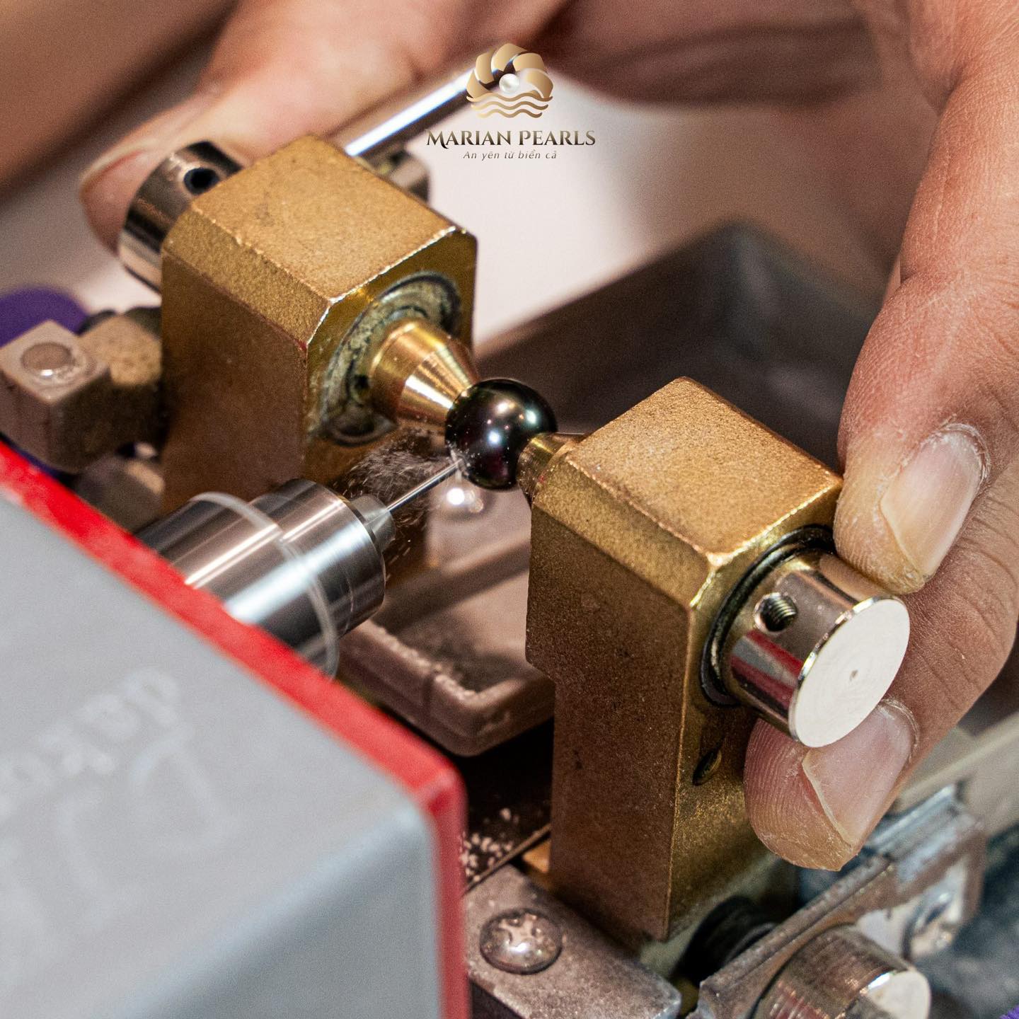 Điều Gì Làm Nên Sự Độc Đáo Của Trang Sức Ngọc Trai Marian Pearls?