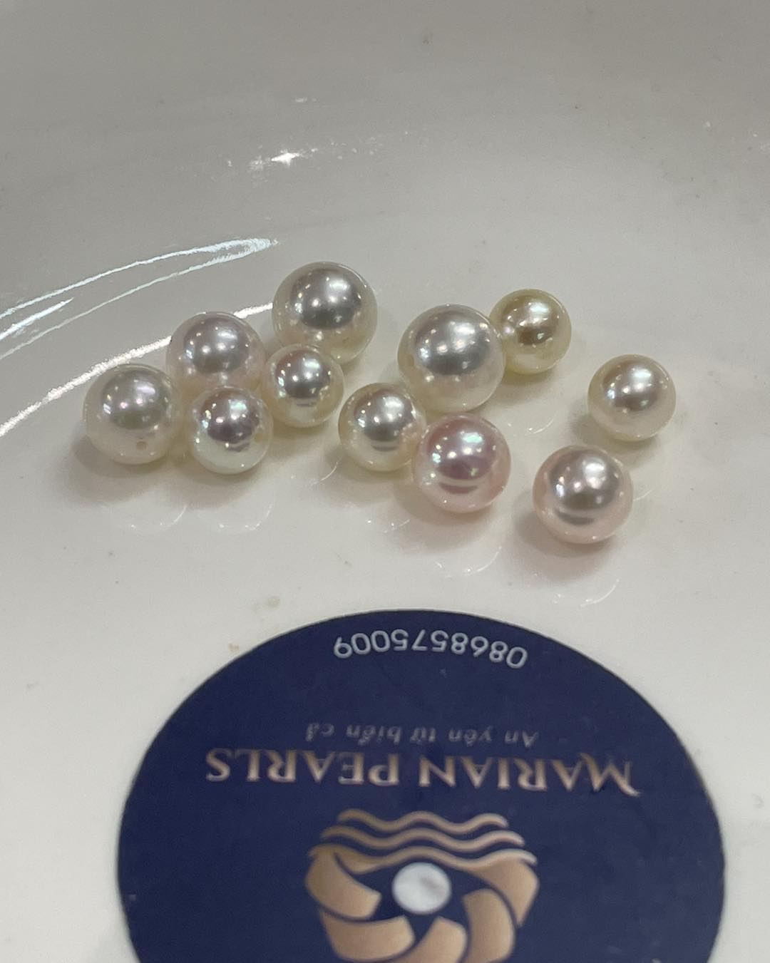 Tìm Hiểu Về Ngành Nuôi Ngọc Trai