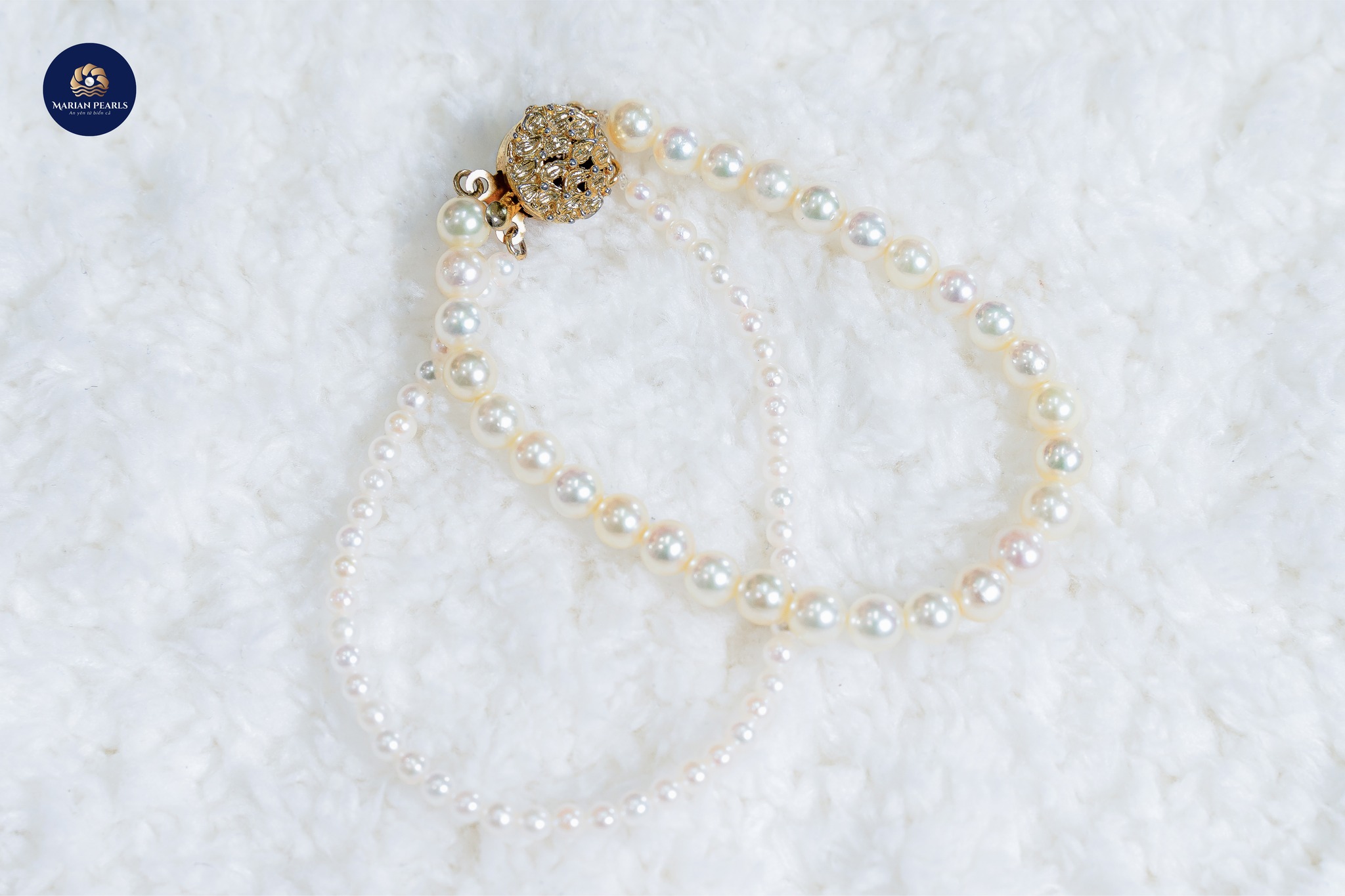 Mua Ngọc Trai Thật Ở Đâu? – Đi Tìm Ánh Sáng Tinh Khôi Từ Đại Dương