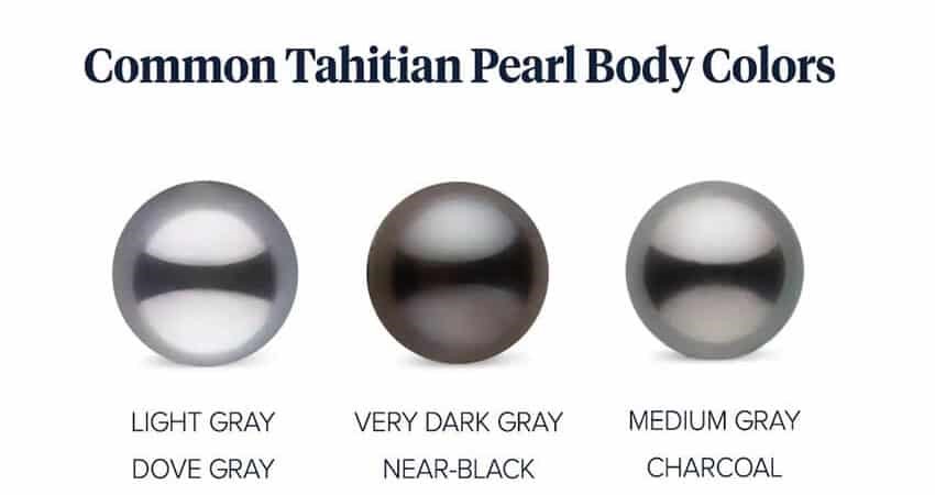 Các loại màu cơ thể của ngọc trai đen