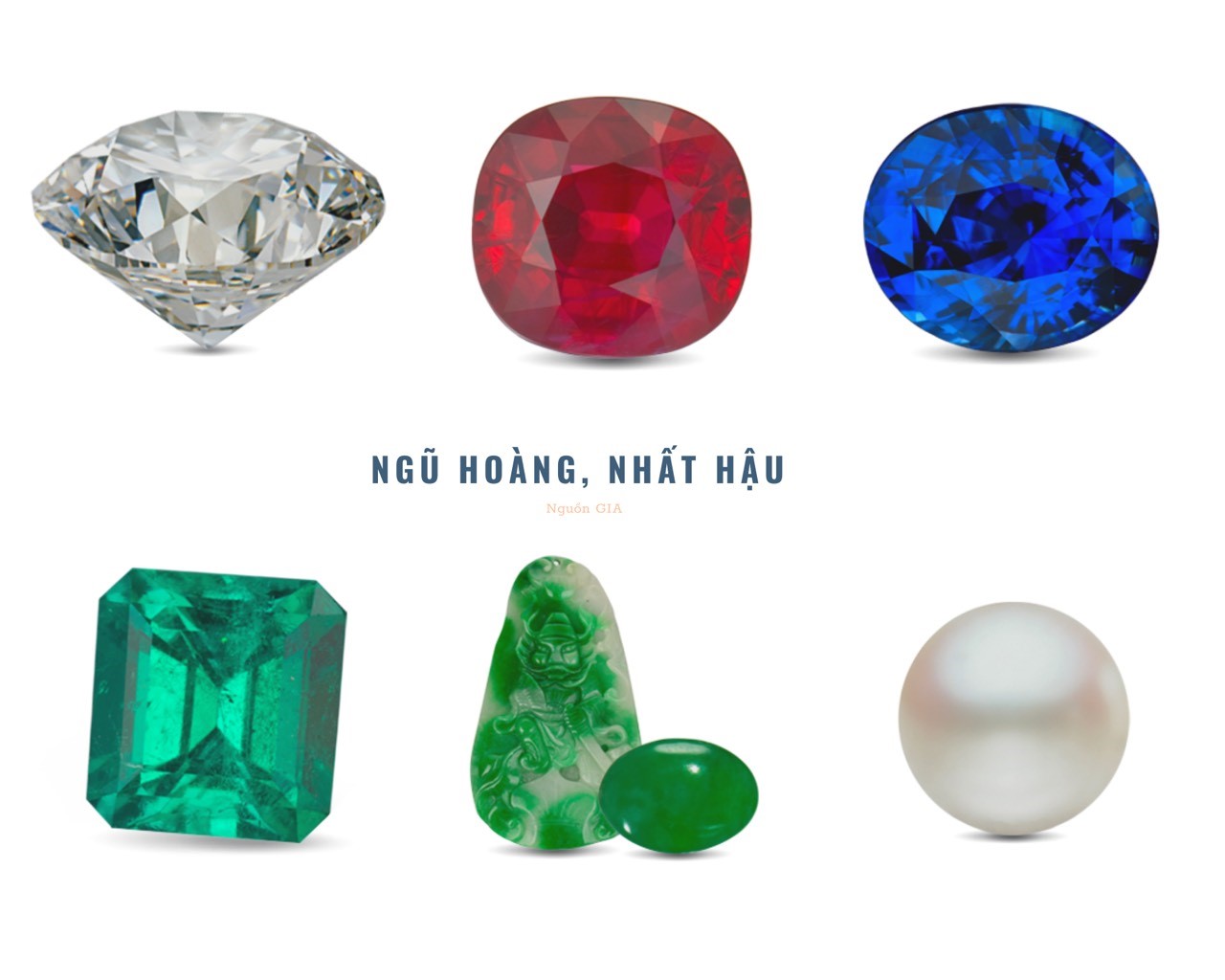 ngũ hoàng nhất hậu