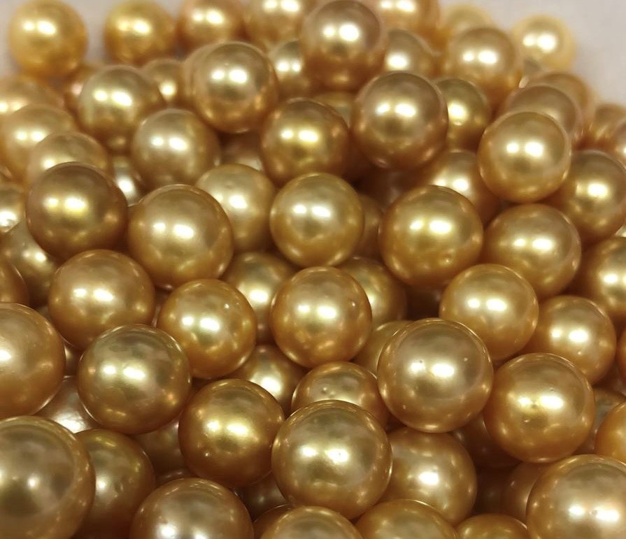 Ngọc trai Golden South Sea đắt vì độ quá hiếm của chúng