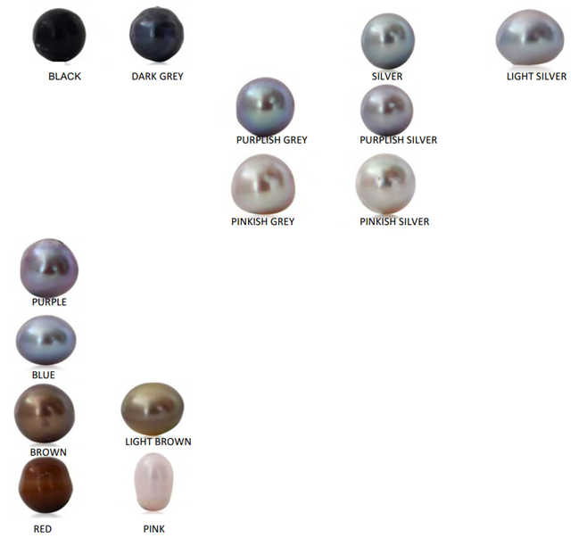 phân loại ngọc trai