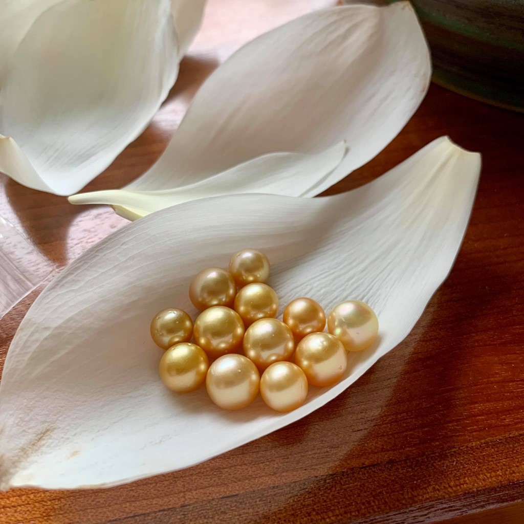 Một tác dụng của ngọc trai chính là ứng dụng đa dạng trong y học