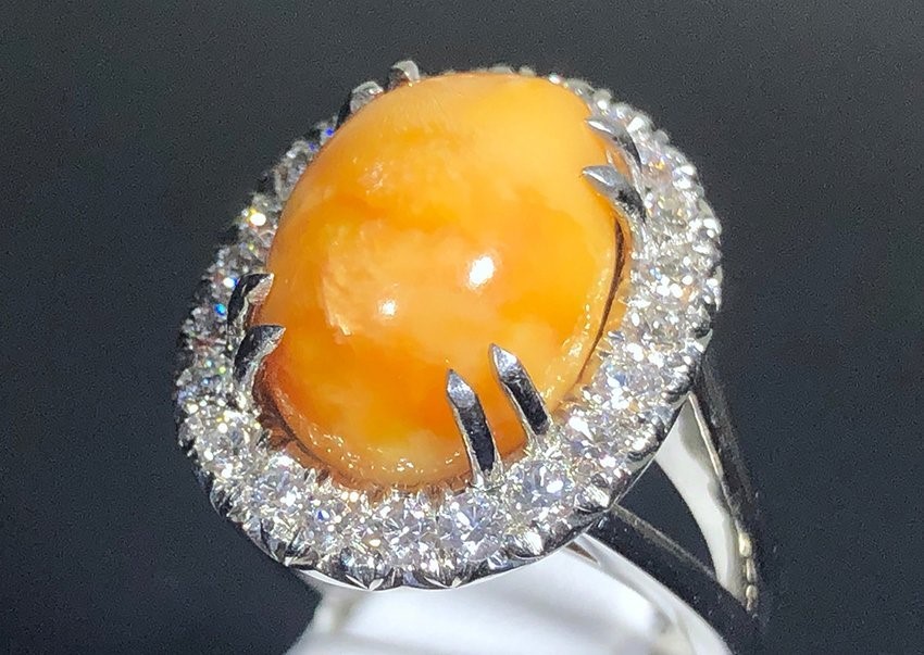 Ngọc Ốc Giác với trị giá lên đến hàng triệu đô la