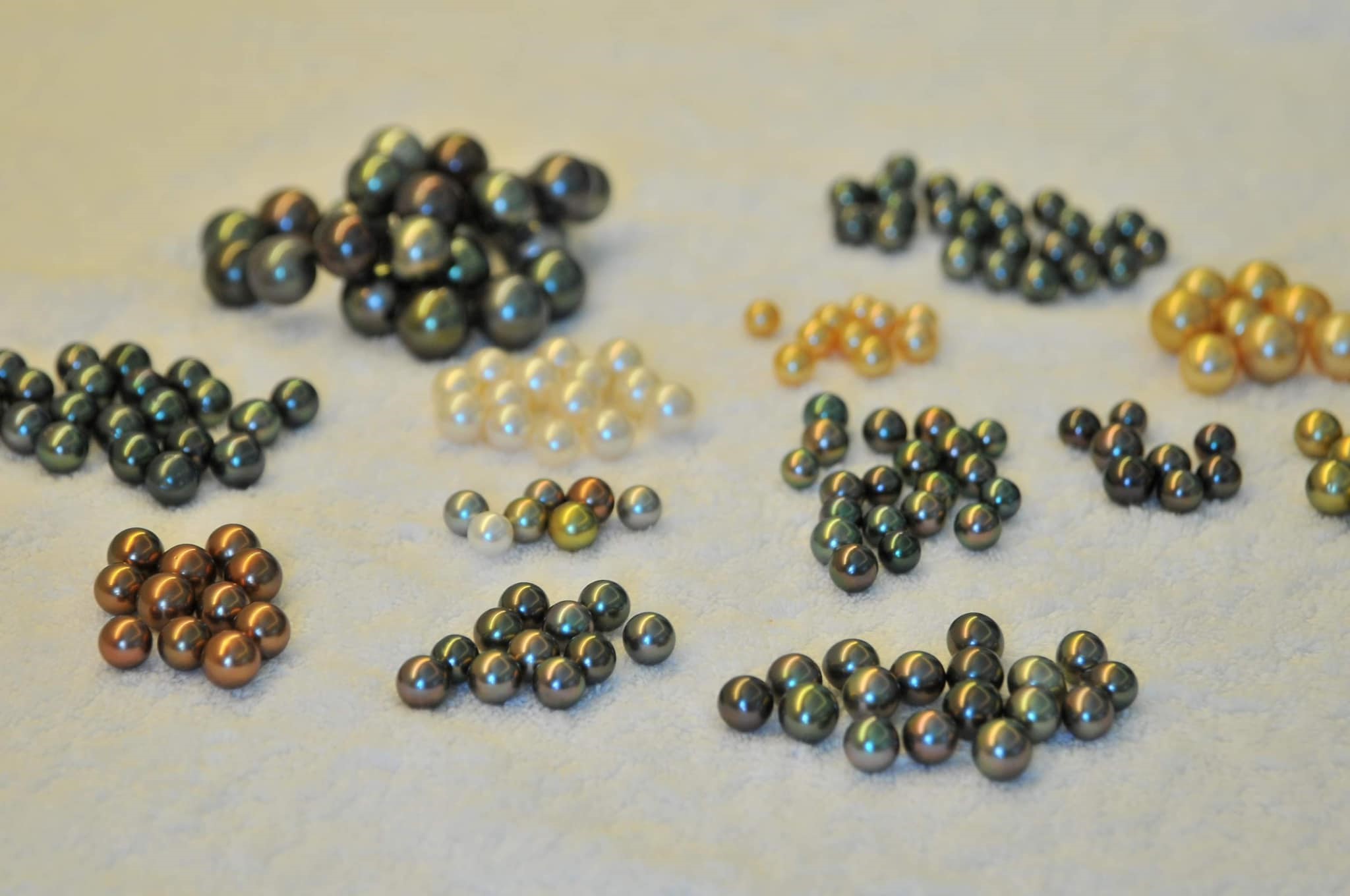 Ngọc trai có đa dạng các loại