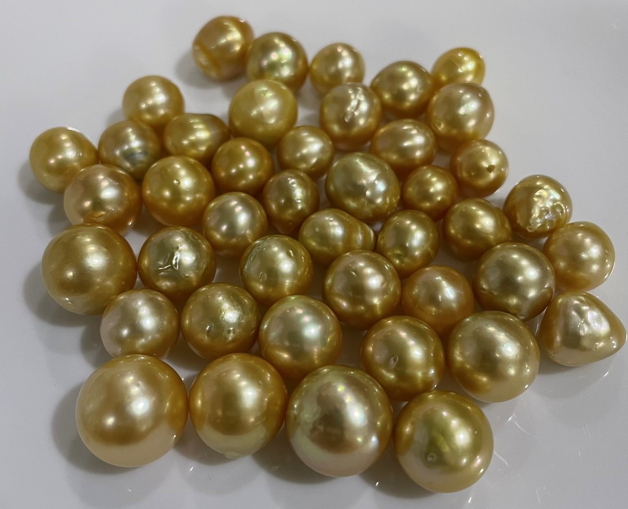 Ngọc trai Southsea