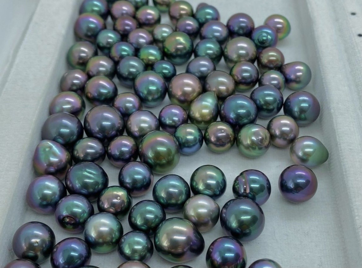 Đa dạng hình thù Ngọc trai đen Tahiti