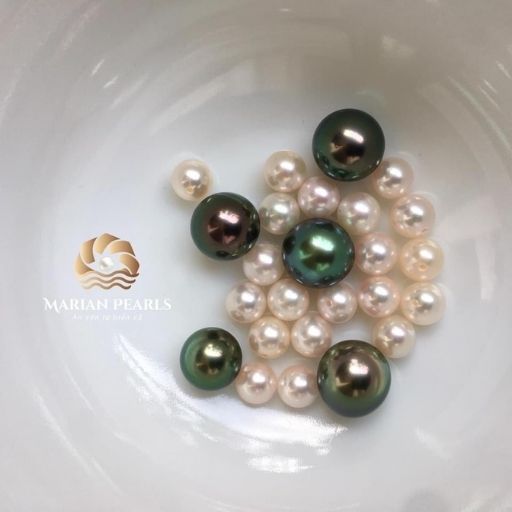 ngọc trai marian pearls