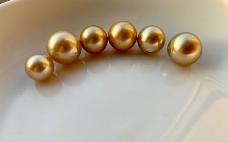 Ngọc trai South sea vàng ánh kim sang trọng