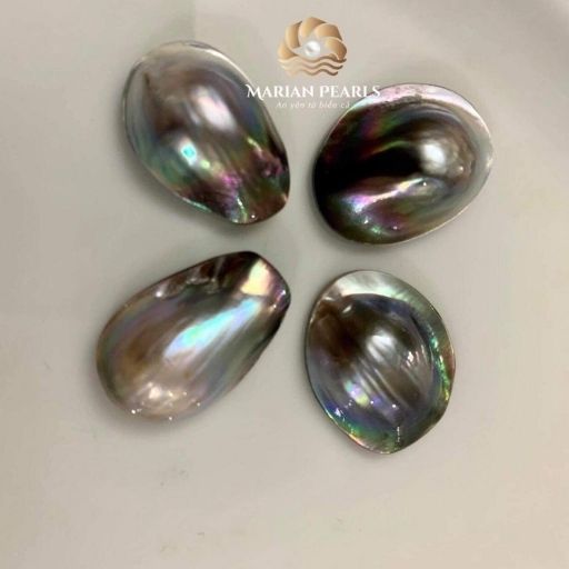 Hình dáng ngọc trai Mabe