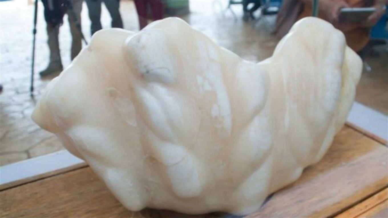 Viên ngọc trai tự nhiên lớn nhất ASEAN và Thế giới