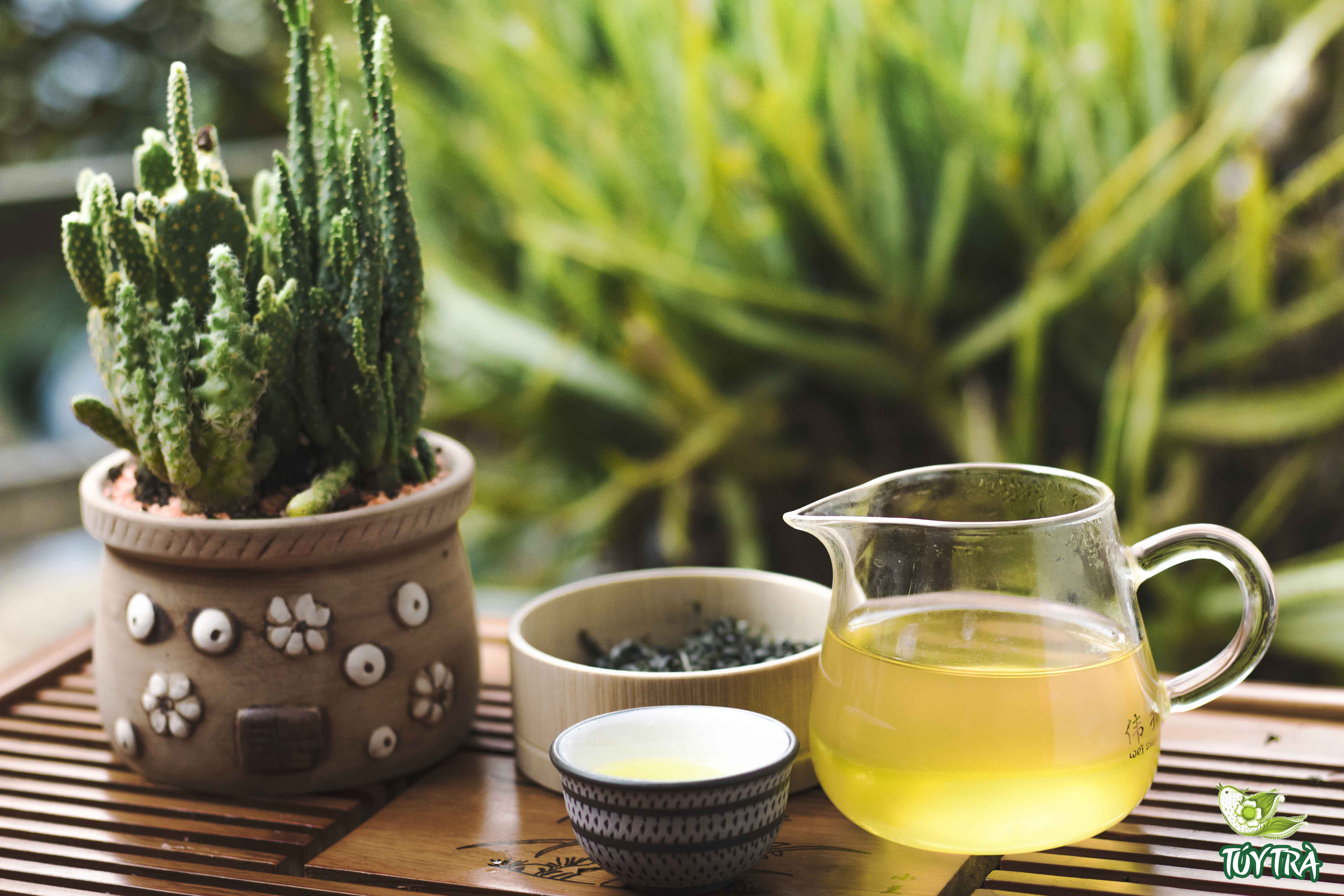 trà xanh tân cương