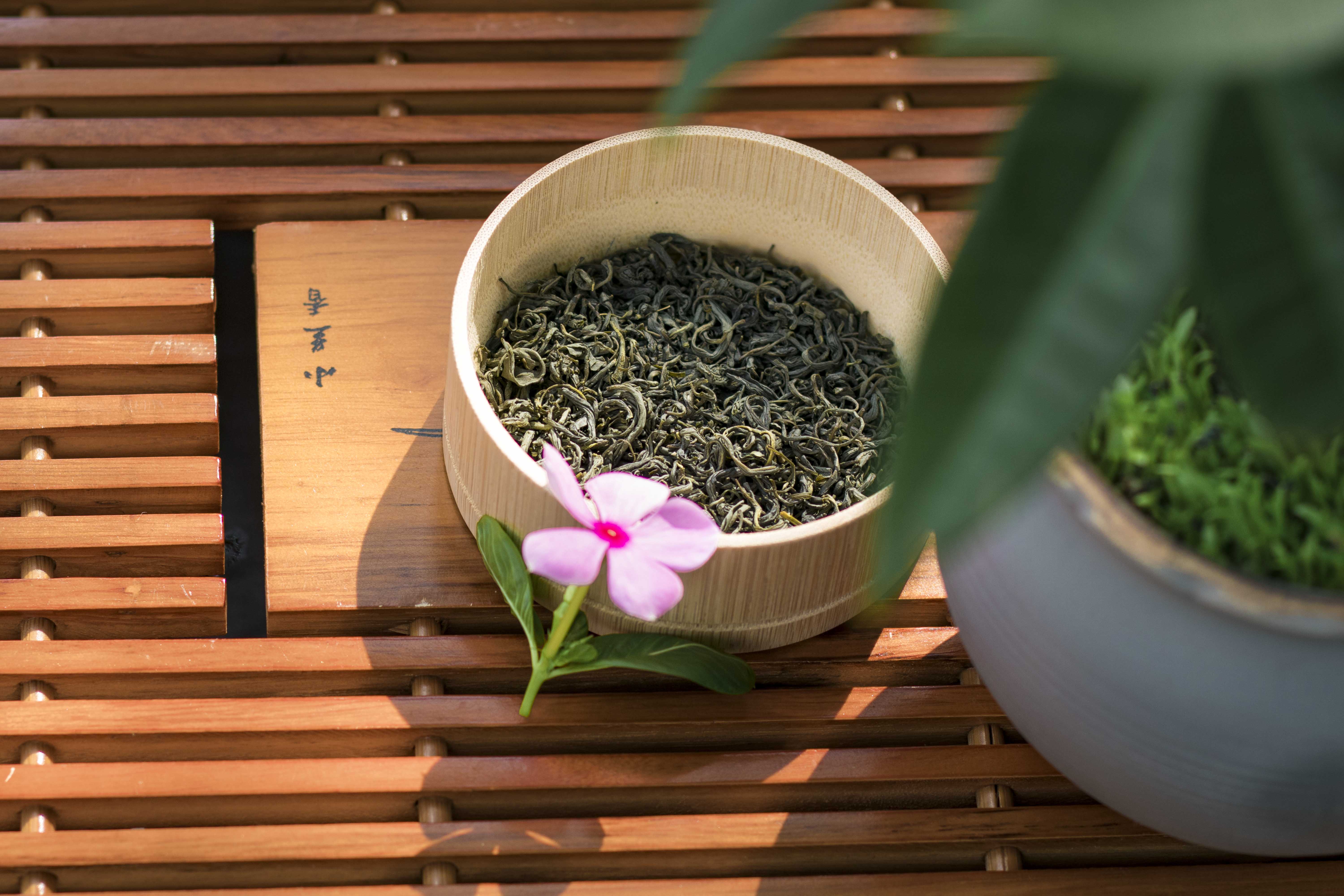 trà móc câu tân cương