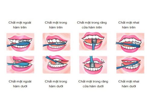Hướng dẫn chăm sóc răng miệng đúng cách Nha khoa Tiến Hùng & Spa