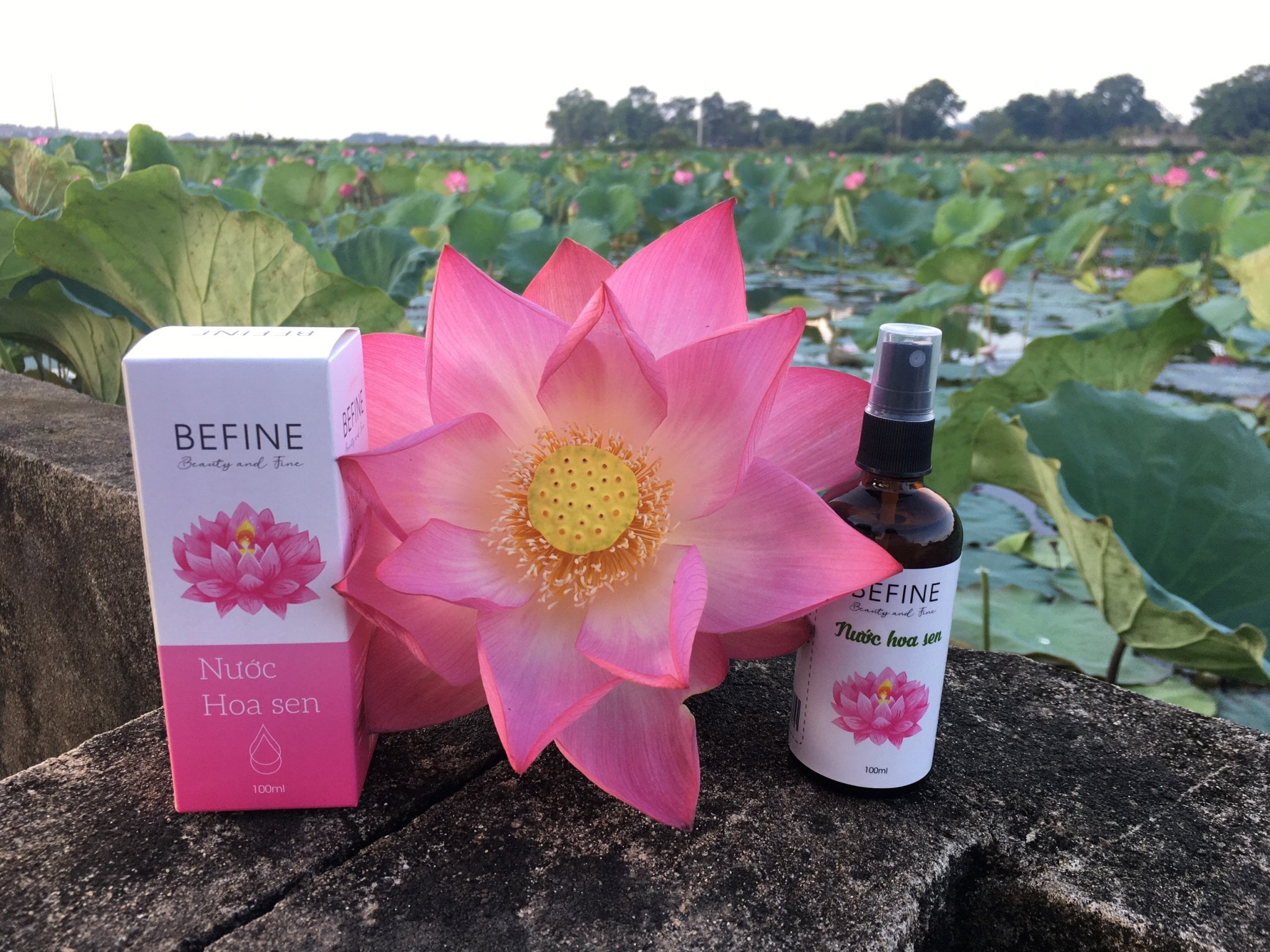 Nước hoa sen Befine