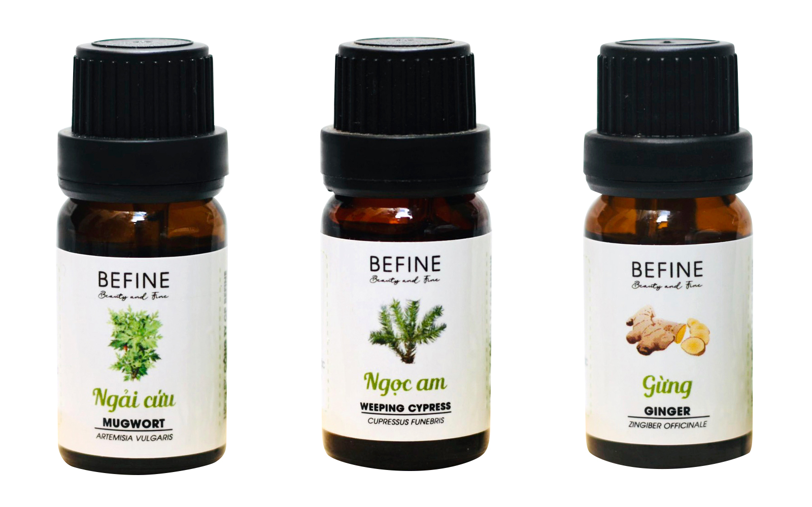 Tinh dầu massage giảm đau nhức xương khớp