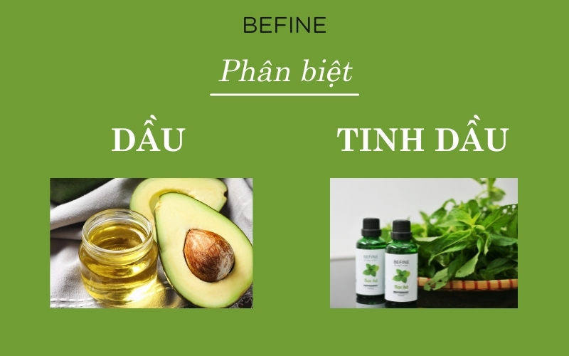 Dầu và Tinh dầu khác nhau như thế nào?