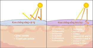 Khả năng chống lại tia UV của kem chống nắng
