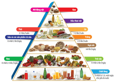 Nhu cầu dinh dưỡng của trẻ