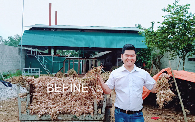 Anh Dương Ngọc Trường đưa nguyên liệu tỏi về nhà xưởng để sản xuất nước cất tỏi Befine