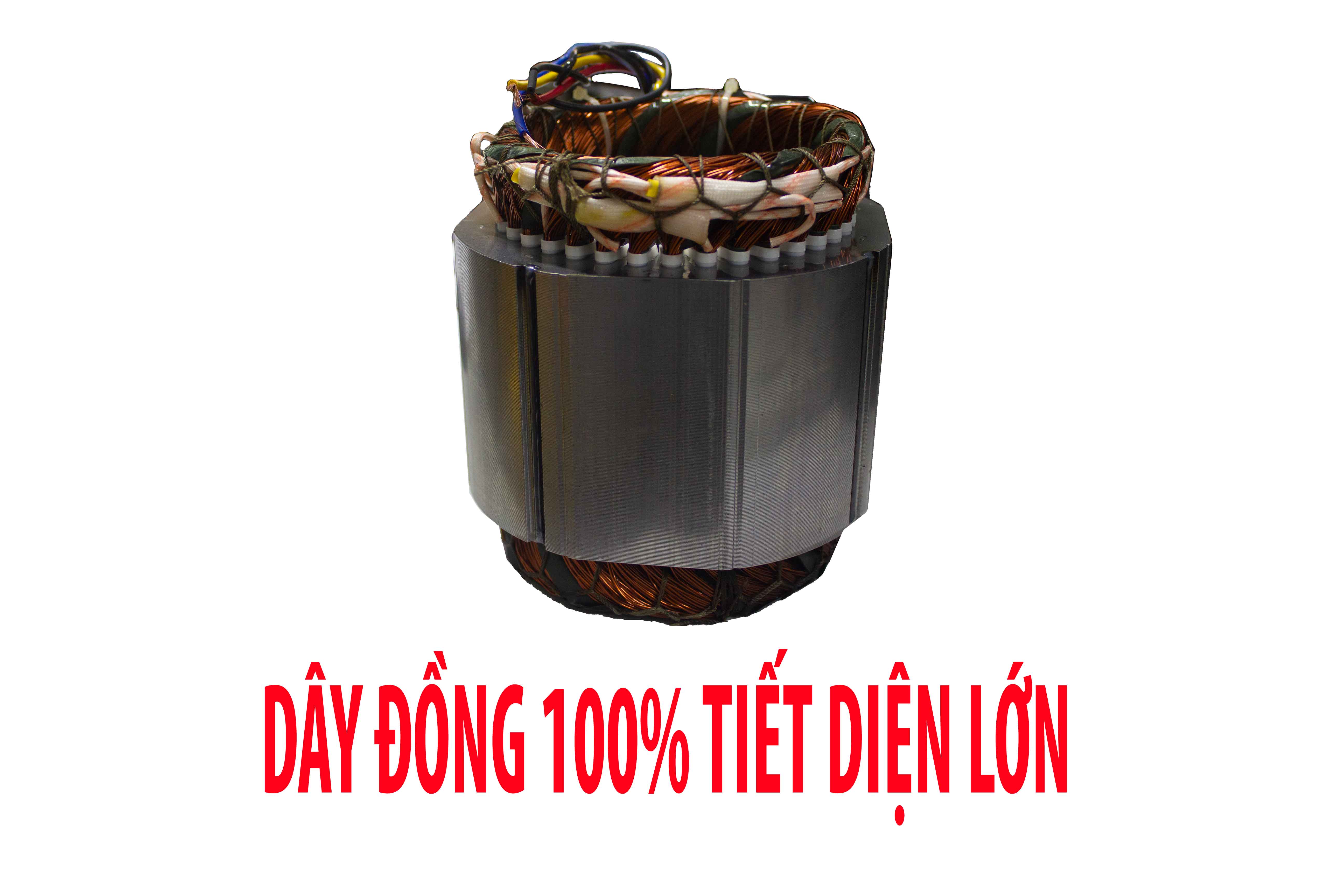 100-day-dong